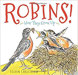 blog picture Robins