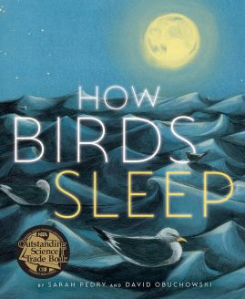 How Birds Sleep
